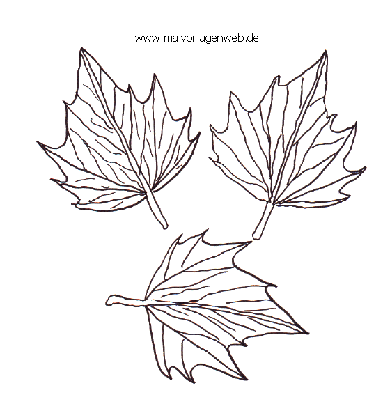 Coloring book pages autumn